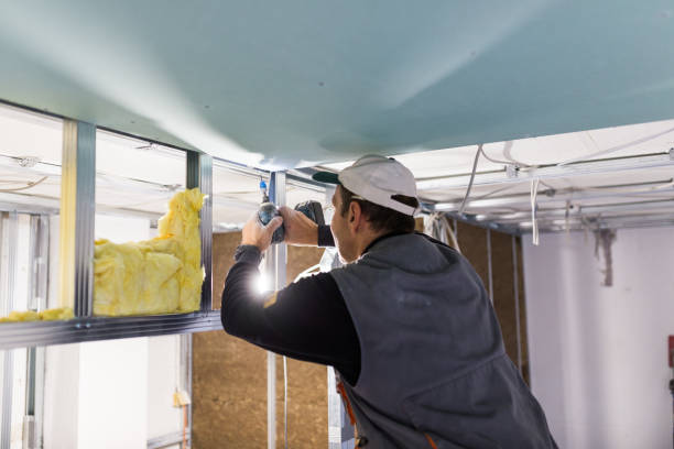 Best Types of Insulation in Salem, IL
