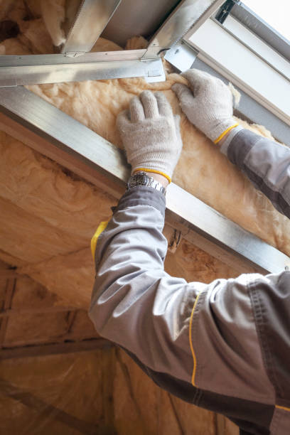 Best Commercial Insulation in Salem, IL