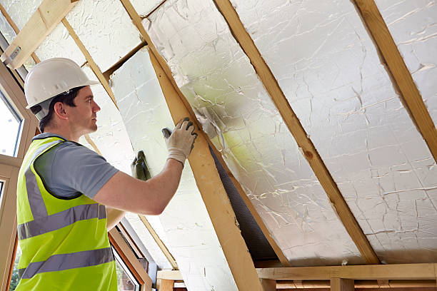 Best Insulation Installation Services in Salem, IL